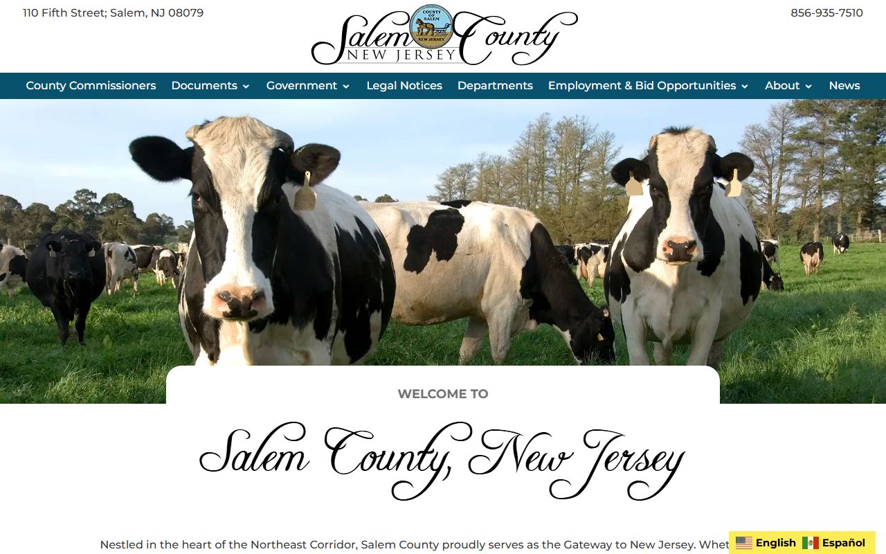 Salem County official website for jail roster records